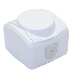 Розетка DE-PA з/з з кришкою зовн. 81101 (12/120уп)